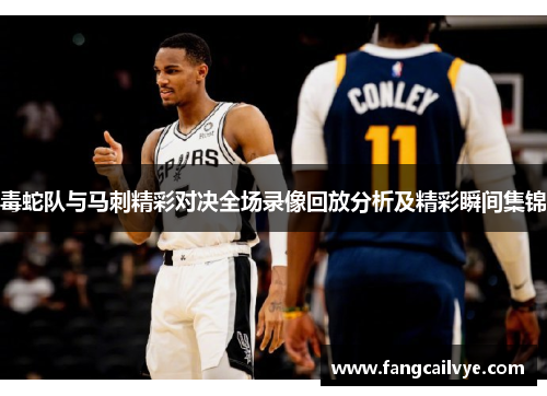 毒蛇队与马刺精彩对决全场录像回放分析及精彩瞬间集锦